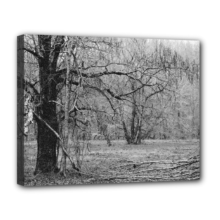 Black and White Forest 11  x 14  Framed Canvas Print