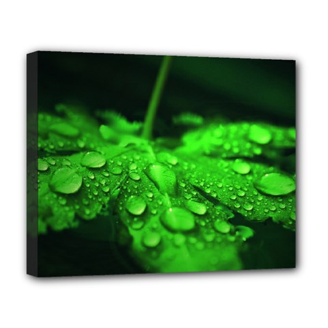 Waterdrops Deluxe Canvas 20  X 16  (framed) by Siebenhuehner