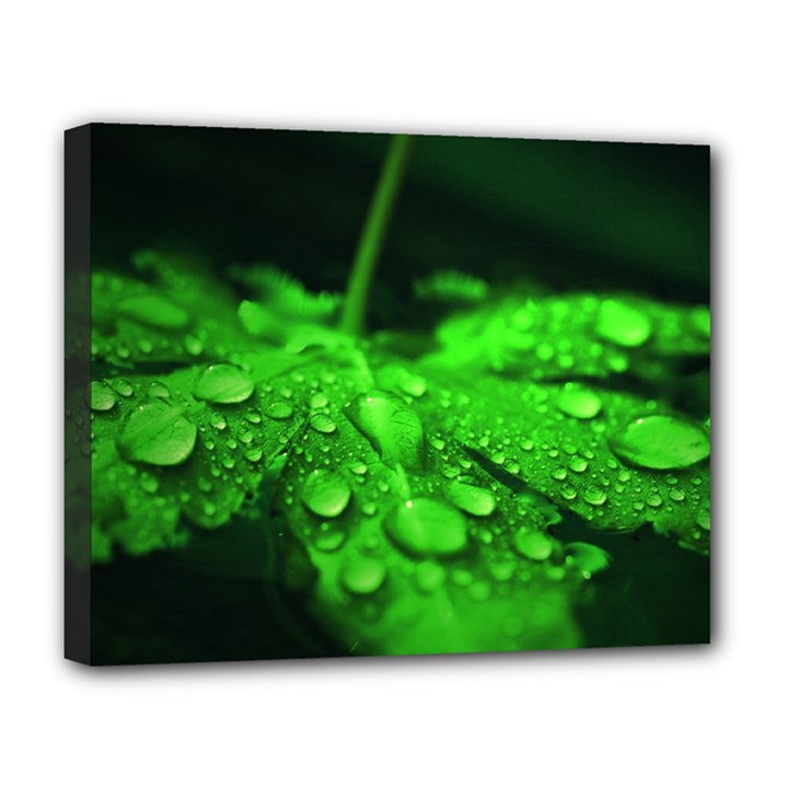 Waterdrops Deluxe Canvas 20  x 16  (Framed)