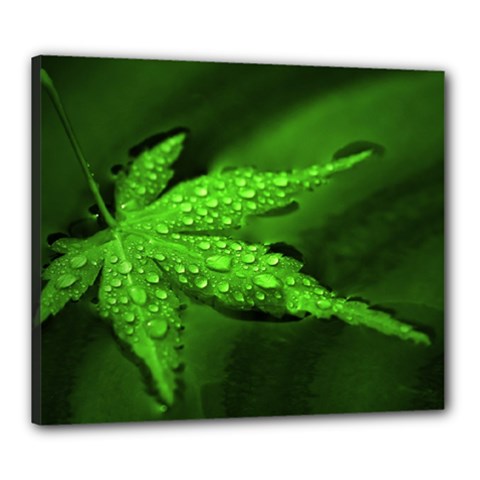 Leaf With Drops Canvas 24  X 20  (framed) by Siebenhuehner