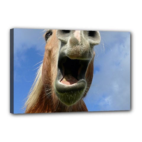 Haflinger  Canvas 18  X 12  (framed) by Siebenhuehner