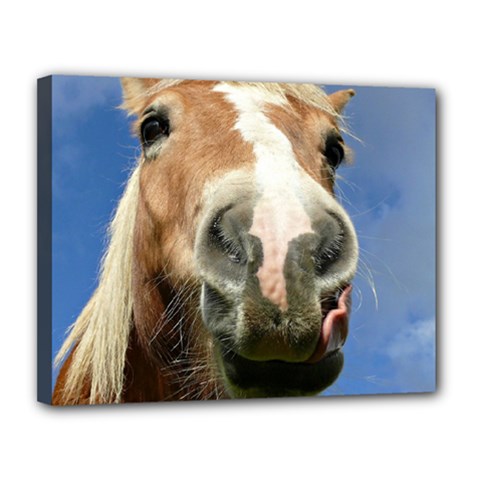 Haflinger  Canvas 14  X 11  (framed) by Siebenhuehner