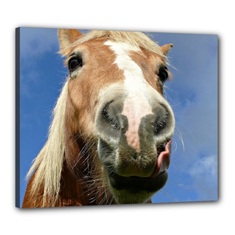 Haflinger  Canvas 24  X 20  (framed) by Siebenhuehner