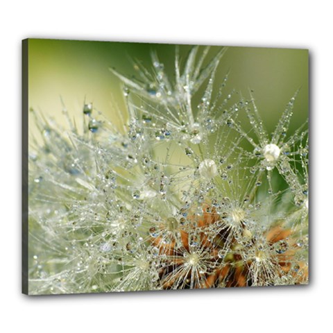 Dandelion Canvas 24  X 20  (framed) by Siebenhuehner