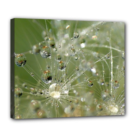 Dandelion Deluxe Canvas 24  X 20  (framed) by Siebenhuehner