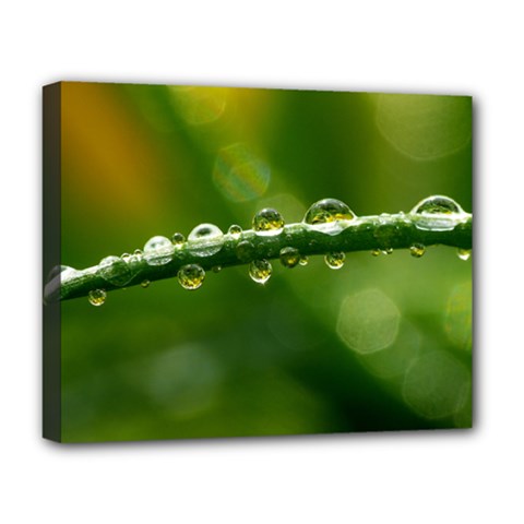 Waterdrops Deluxe Canvas 20  X 16  (framed) by Siebenhuehner