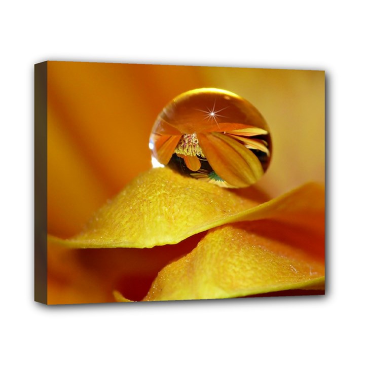 Drops Canvas 10  x 8  (Framed)