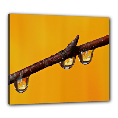 Tree Drops  Canvas 24  X 20  (framed) by Siebenhuehner