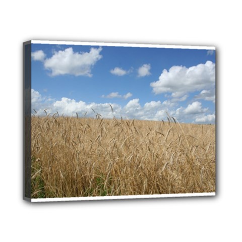 Grain And Sky Canvas 10  X 8  (framed) by plainandsimple