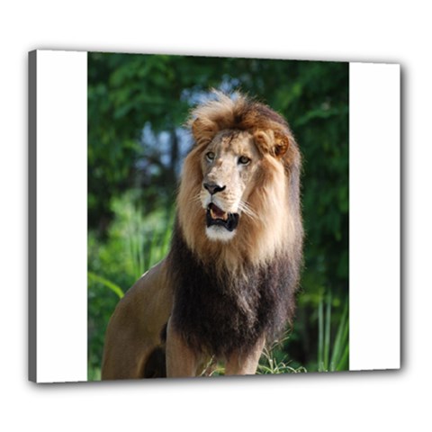 Regal Lion Canvas 24  X 20  (framed) by AnimalLover