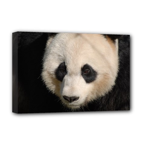 Adorable Panda Deluxe Canvas 18  X 12  (framed) by AnimalLover