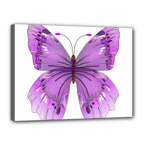 Purple Awareness Butterfly Canvas 16  X 12  (framed) by FunWithFibro