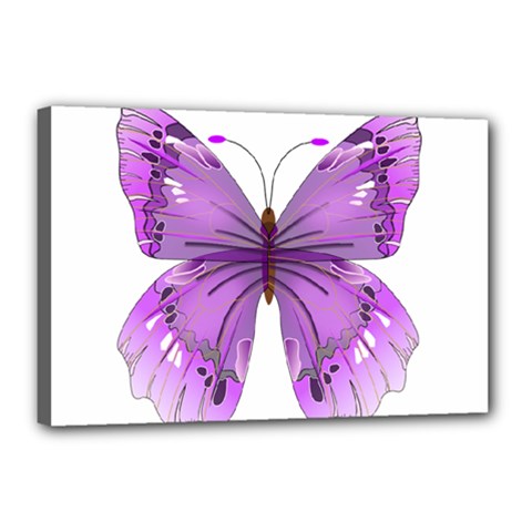 Purple Awareness Butterfly Canvas 18  X 12  (framed) by FunWithFibro