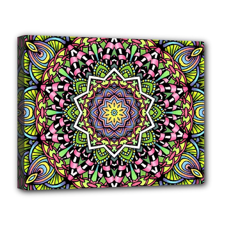 Psychedelic Leaves Mandala Canvas 14  x 11  (Framed)