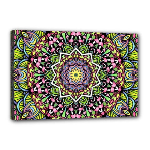 Psychedelic Leaves Mandala Canvas 18  X 12  (framed) by Zandiepants