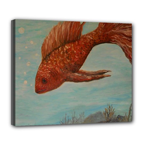 Gold Fish Deluxe Canvas 24  X 20  (framed) by rokinronda