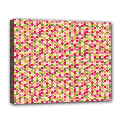 Pink Green Beehive Pattern Deluxe Canvas 20  X 16  (framed) by Zandiepants