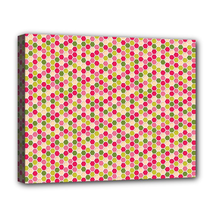 Pink Green Beehive Pattern Deluxe Canvas 20  x 16  (Framed)