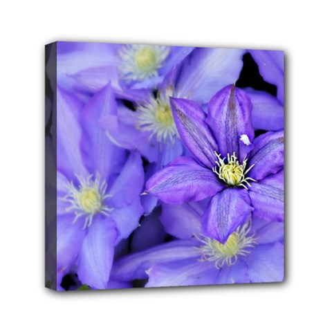 Purple Wildflowers For Fms Mini Canvas 6  X 6  (framed) by FunWithFibro