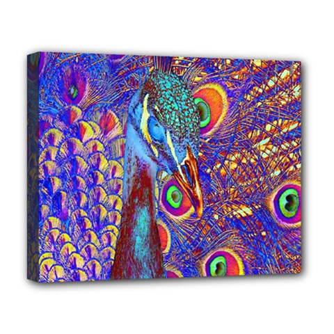 Peacock Deluxe Canvas 20  X 16  (framed) by icarusismartdesigns