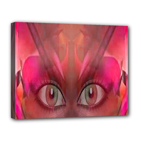 Hypnotized Canvas 14  X 11  (framed) by icarusismartdesigns