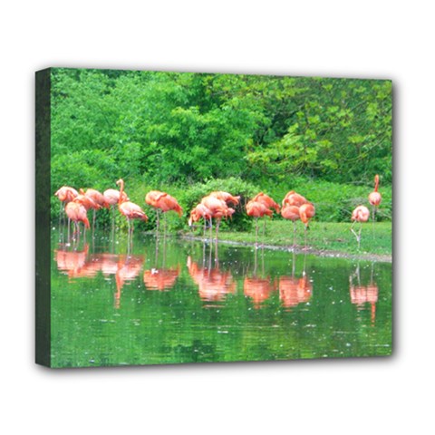 Flamingo Birds At Lake Deluxe Canvas 20  X 16  (framed) by yoursparklingshop