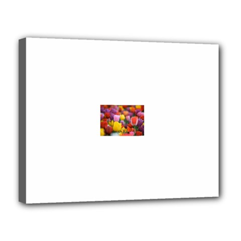 Flower Canvas 14  X 11  (framed) by habiba4true