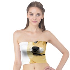 Dogecoin Women s Tube Tops by dogestore