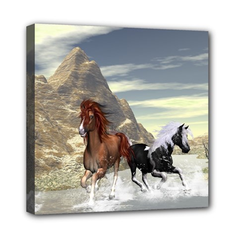 Beautiful Horses Running In A River Mini Canvas 8  X 8  by FantasyWorld7