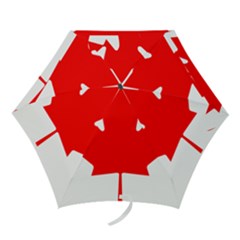 Style 1 Mini Folding Umbrellas by TheGreatNorth