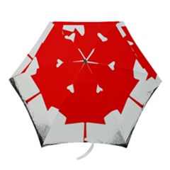 Style 6 Mini Folding Umbrellas by TheGreatNorth