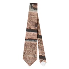 Sandstone Brick Neckties (two Side)  by trendistuff