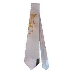 Sakura Neckties (two Side)  by trendistuff