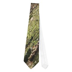 Red Panda Neckties (one Side)  by trendistuff