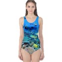 FR FRIGATE SHOALS One Piece Swimsuit View1