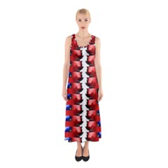 The Patriotic Flag Full Print Maxi Dress by SugaPlumsEmporium