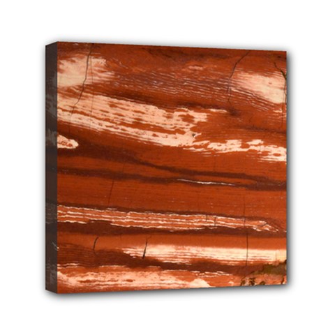 Red Earth Natural Mini Canvas 6  X 6  by UniqueCre8ion