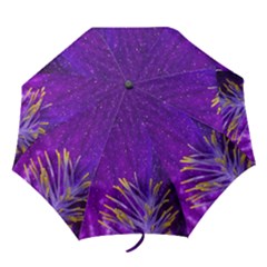  Igp4974 Irisclv Folding Umbrellas by PhotoThisxyz