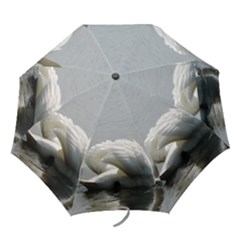 Swimming White Swan Folding Umbrellas by picsaspassion