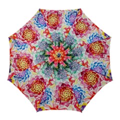 Colorful Succulents Golf Umbrellas by DanaeStudio