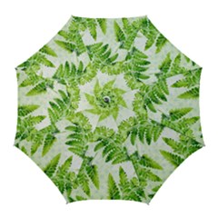 Fern Leaves Golf Umbrellas by DanaeStudio