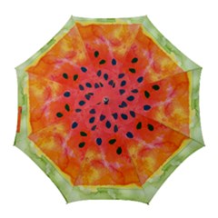 Abstract Watermelon Golf Umbrellas by DanaeStudio