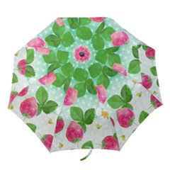 Cute Strawberries Pattern Folding Umbrellas by DanaeStudio