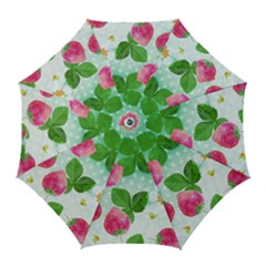 Cute Strawberries Pattern Golf Umbrellas by DanaeStudio