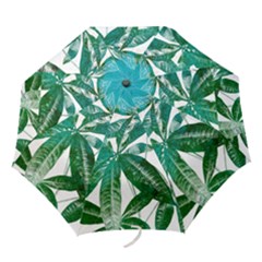 Pachira Leaves  Folding Umbrellas by DanaeStudio