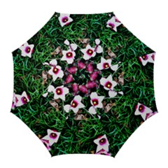 Pink Flowers Over A Green Grass Golf Umbrellas by DanaeStudio