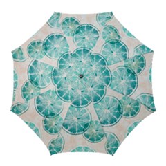 Turquoise Citrus And Dots Golf Umbrellas by DanaeStudio