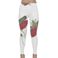 Grasshopper Insect Animal Isolated Classic Yoga Leggings by Nexatart