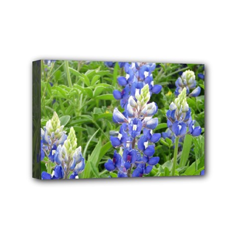 Blue Bonnets Mini Canvas 6  X 4  by CreatedByMeVictoriaB