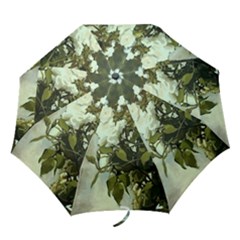 Londonbridgerose Folding Umbrella by lynngrayson